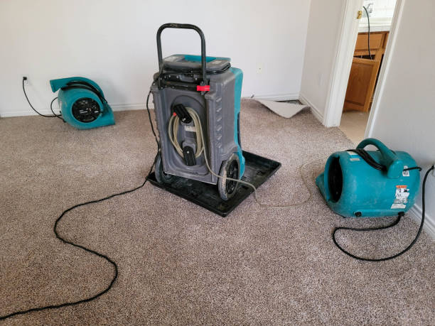 Best Carpet water damage restoration  in Deshler, OH