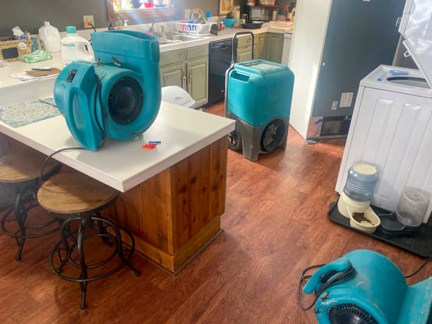 Best Local water damage restoration  in Deshler, OH