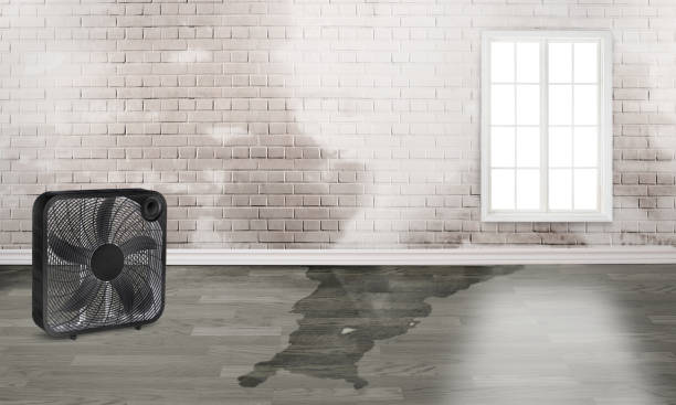 Trusted Deshler, OH Water damage restoration Experts