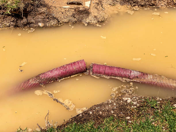 Water damage restoration mold remediation in Deshler, OH